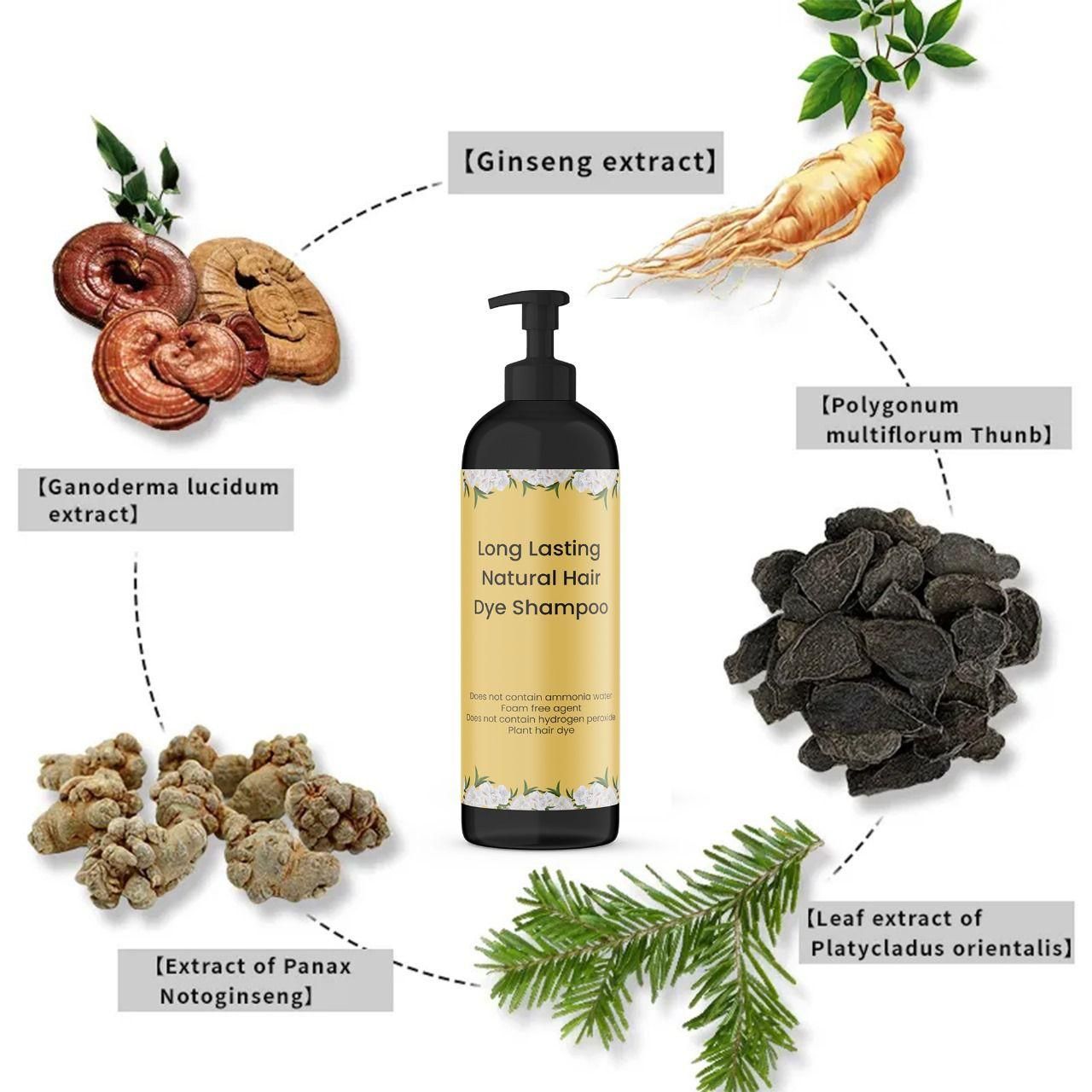 BlushMint Long Lasting Natural Hair Dye Shampoo 100ML (Pack of 2)