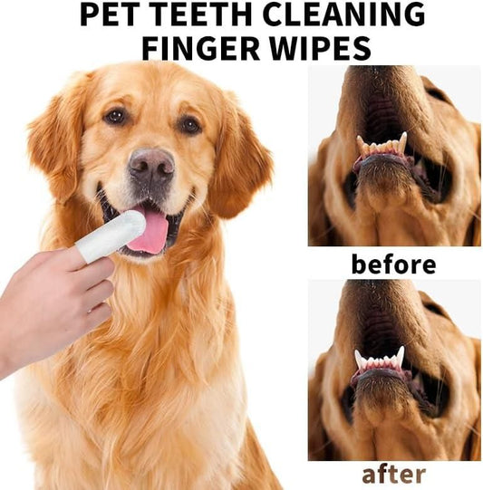 BlushMint PawDent Disposable Wipes, CleanPaws Dental Finger Wipes.