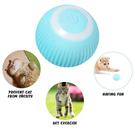 BlushMint Smart LED 360° Rotating Cat Toy Ball
